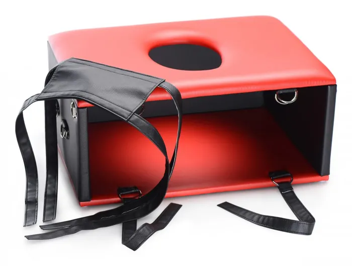 Master Series Dildos The Queening Chair