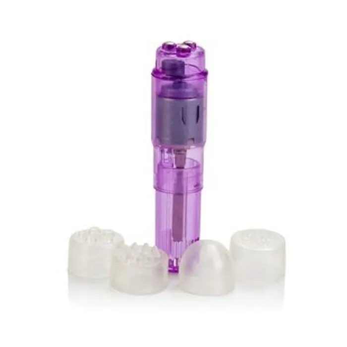 Berman Athena Clam Fairvillacom Vibrators