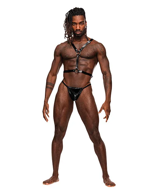 Fairvillacom Restraints SAGITTARIUS LEATHER HARNESS BLACK OS