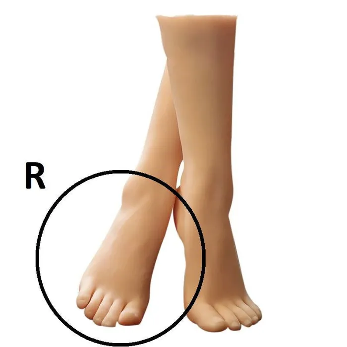 Female Sex Toys Foot fetish female foot shin replica size EU35 ShhhOb