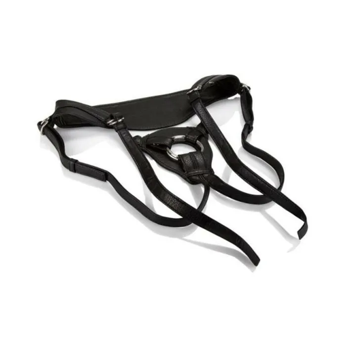 Her Royal Harness Queen Black Boxed Fairvillacom Female Sex Toys