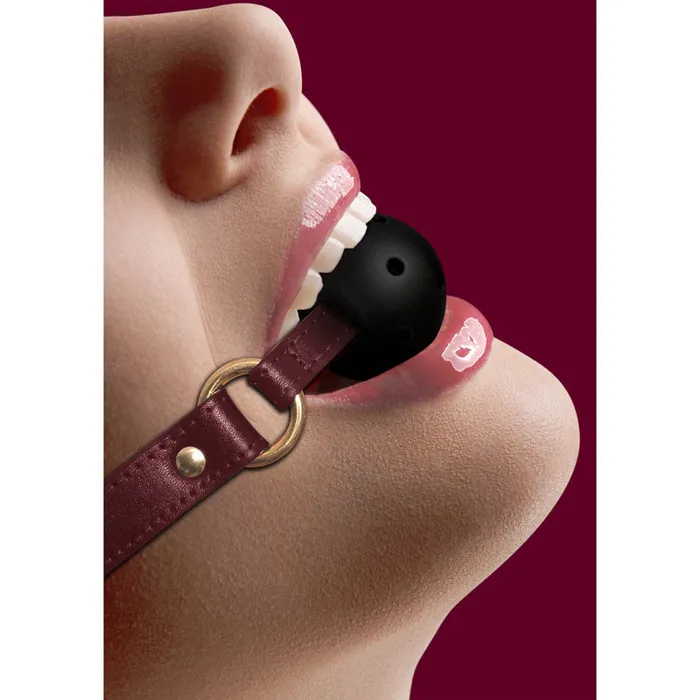 OUCH Halo Breathable Ball Gag ShhhWndsr Couples OUCH Halo Breathable Ball Gag ShhhWndsr Couples