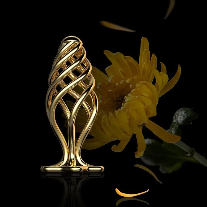 Hollow Fancy Golden Anal Plug Set Kinkstasy Anal