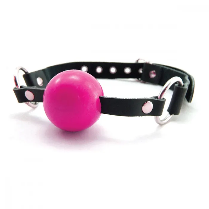 Sex Kitten Silicone Ball Gag Pink Sex Kitten Couples