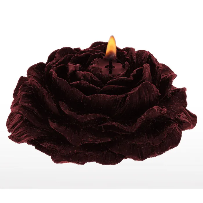 Taboom 2 Rose Bondage Candles Taboom Vibrators Taboom 2 Rose Bondage Candles Taboom Vibrators