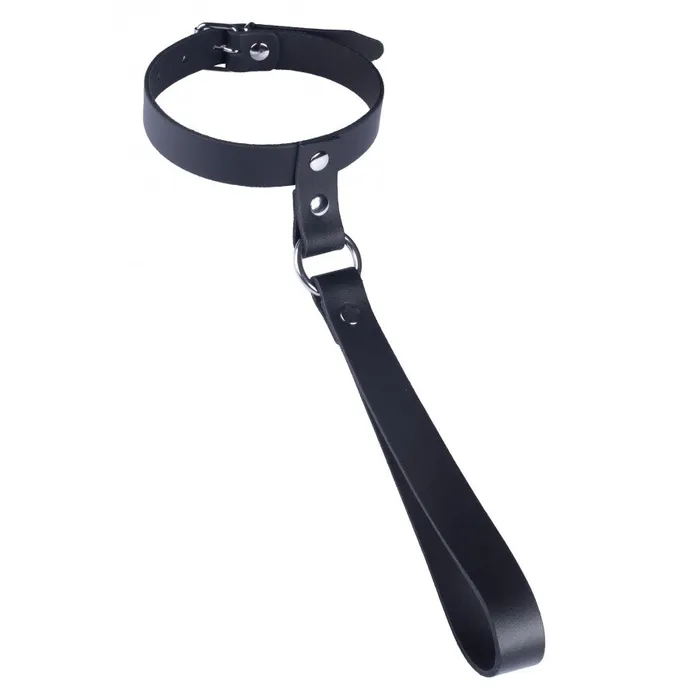 The Red Leather Collar with Short Leash The Red Restraints
