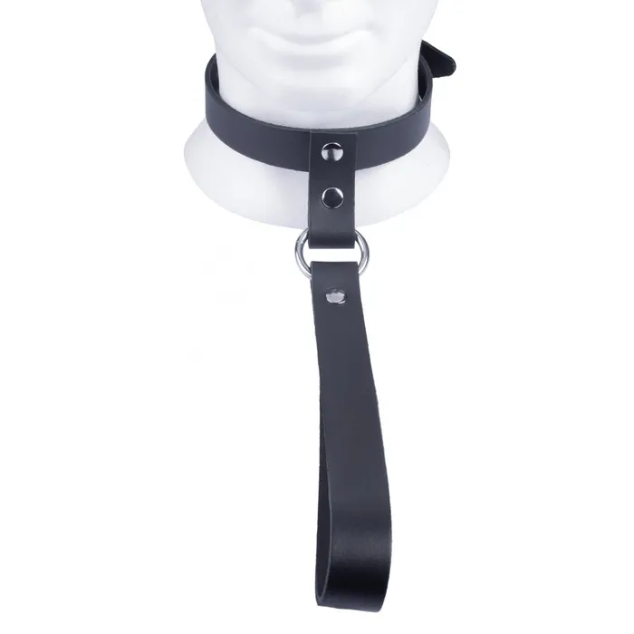 The Red Leather Collar with Short Leash The Red Restraints The Red Leather Collar with Short Leash The Red Restraints