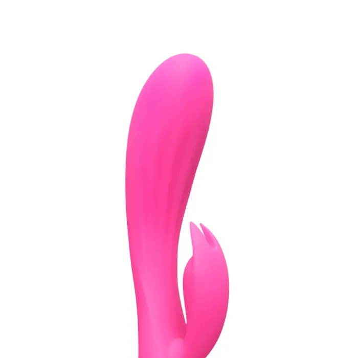 Various Toy Brands Female Sex Toys Silicone Rabbit Vibrator Various Toy Brands Female Sex Toys Silicone Rabbit Vibrator