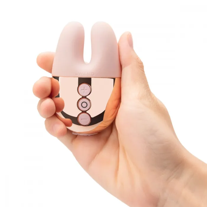 Vibrators Le Wand Le Wand Chrome Double Vibe
