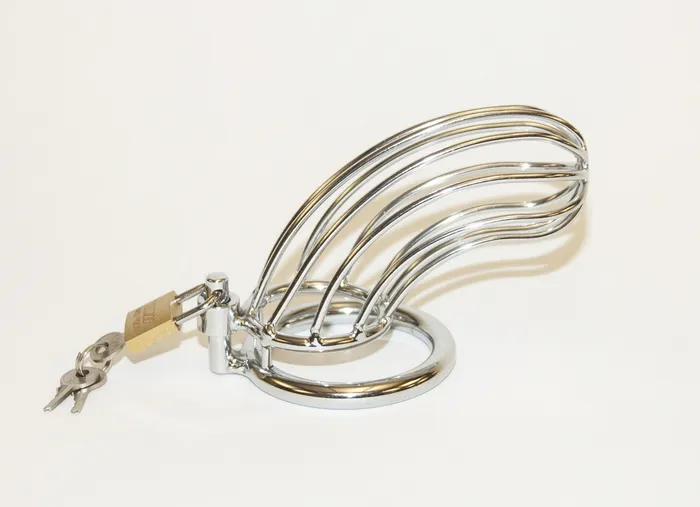 Willams Tradeing Company Male Sex Toys MALE STAINLESS STEEL BIRD CAGE